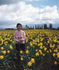 Miyoko's favorite flowers were daffodils.